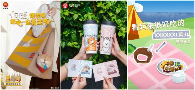 “陪伴经济”成为商业新驱动力AG真人网“内卷焦虑“时代(图3)