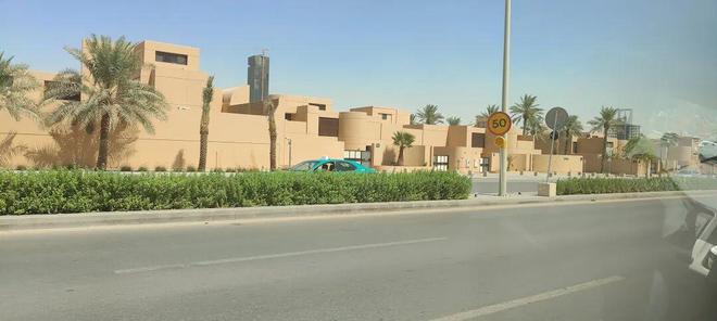 天：距离中国7000公里遍地黄金与荆棘AG真人中国我在最土豪的游戏市场待了3(图11)