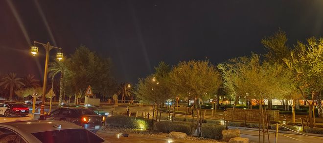 天：距离中国7000公里遍地黄金与荆棘AG真人中国我在最土豪的游戏市场待了3(图34)