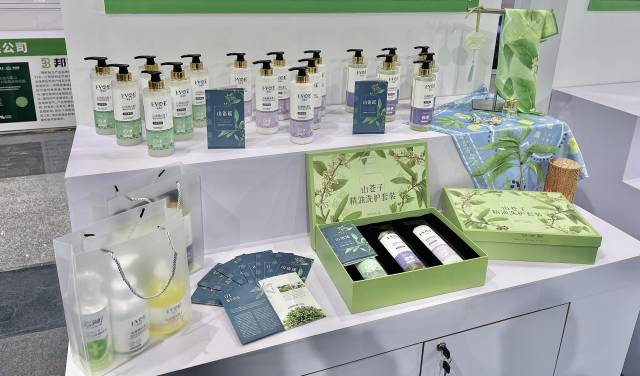 山野“小辛香”如何迈向“大市场”AG真人一颗山苍子的新生：粤北(图1)